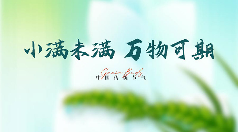 四時有序 | 今日小滿